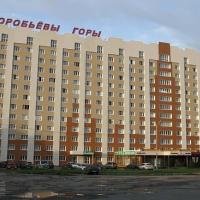 Воробьевы горы